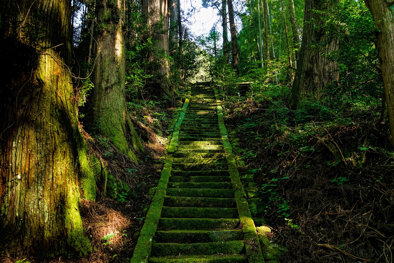 The Hidden Valleys of Japan’s Aso Volcano